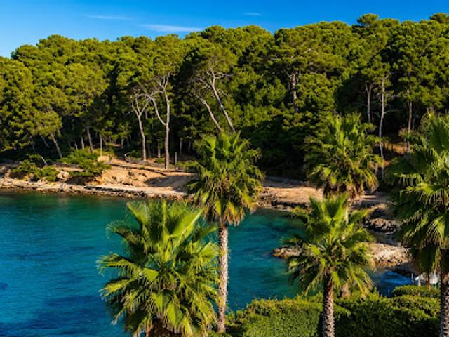 Vente Appartement 2 pièces 60.08 m2 Saint Mandrier sur Mer