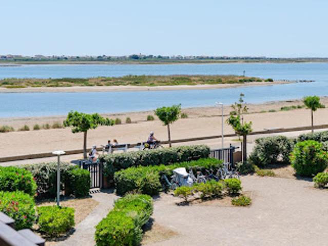 Vente Appartement 2 pièces 22.52 m2 Gruissan