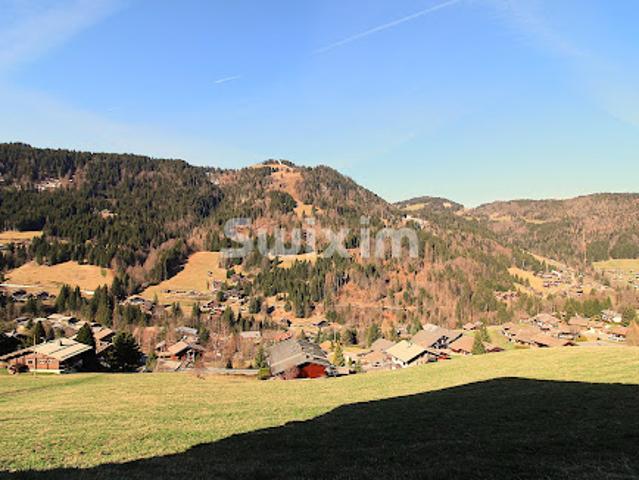 Vente Appartement 2 pièces 24.12 m2 La Clusaz