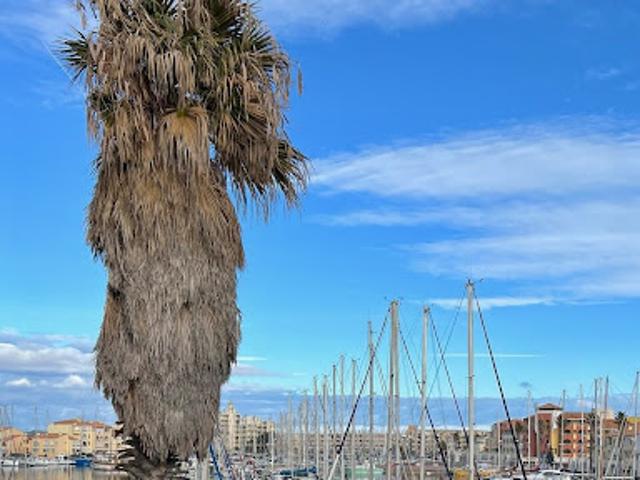 Vente Appartement 2 pièces 30 m2 Port Leucate