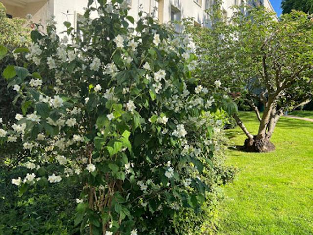 Vente Appartement 2 pièces 38.9 m2 Saint Cloud