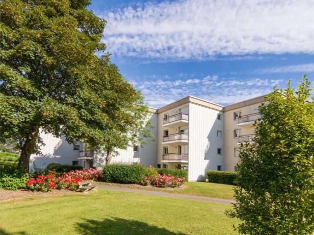 Vente appartement 2 pièces Brest Pen Ar Creach Petit Paris 29