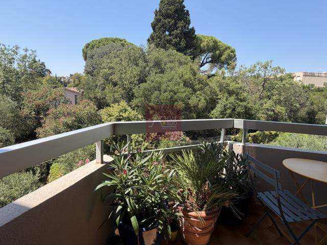VENTE APPARTEMENT 2 PIECES MONTPELLIER BEAUX ARTS