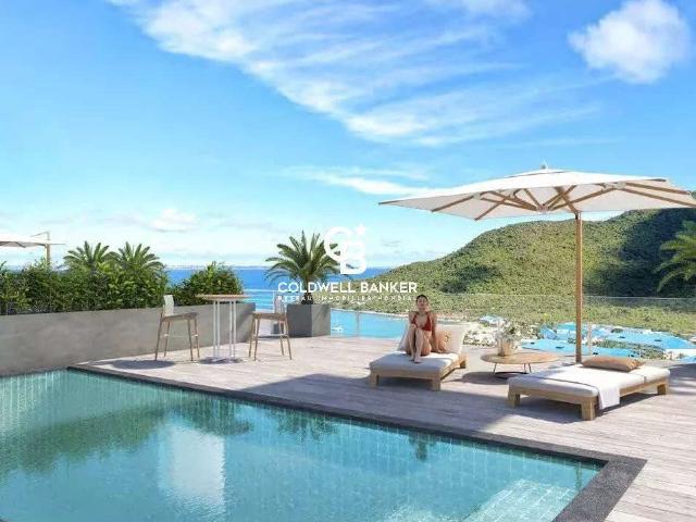 Vente appartement 2 pièces Saint Martin 32