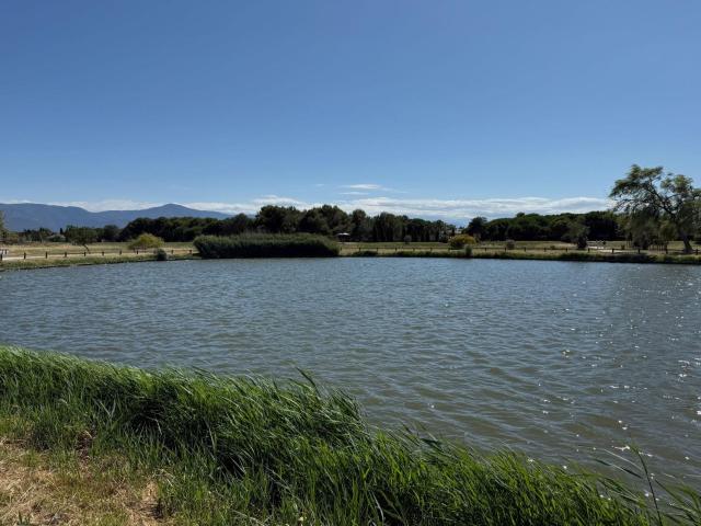 Vente appartement 3 Pièce s 69m² Saint Cyprien