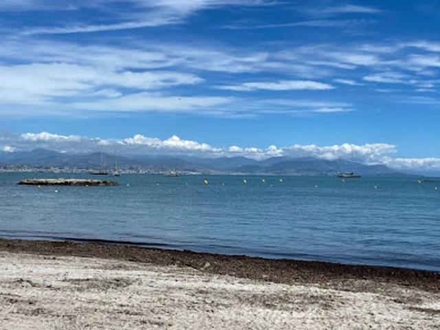 Vente Appartement 3 pièces 55 m2 Antibes