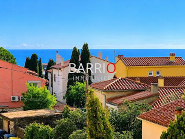 Vente Appartement 3 pièces 65 m2 Banyuls sur Mer