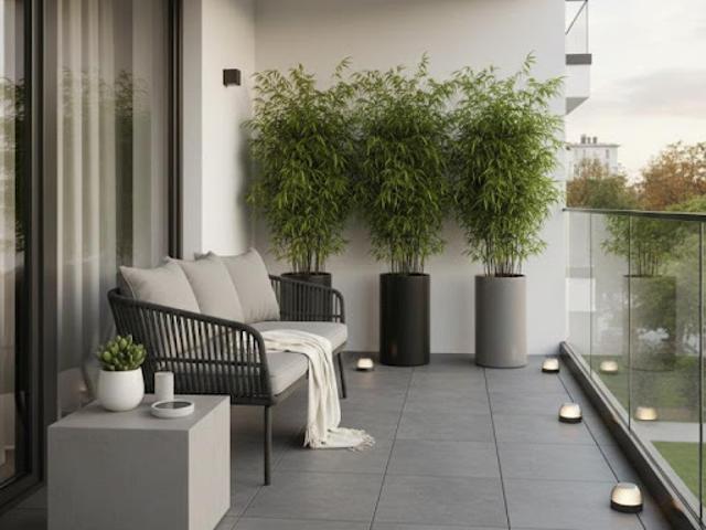 Vente Appartement 3 pièces 65 m2 Chatou