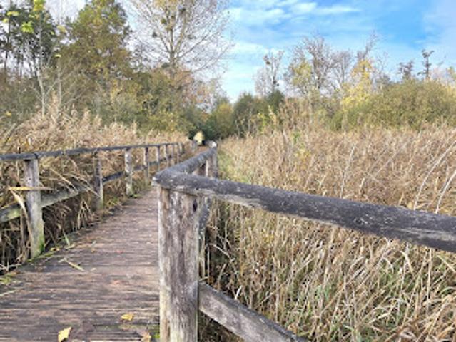 Vente Appartement 3 pièces 65 m2 Sainte genevieve des bois