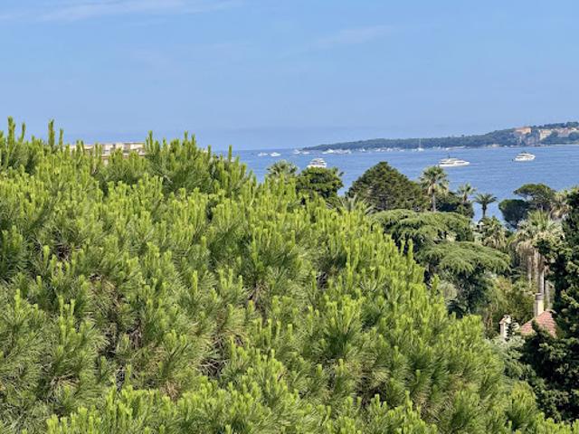Vente Appartement 3 pièces 68 m2 Cannes