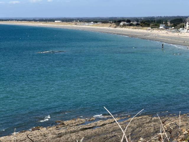 Vente appartement 3 pièces Donville les Bains 50