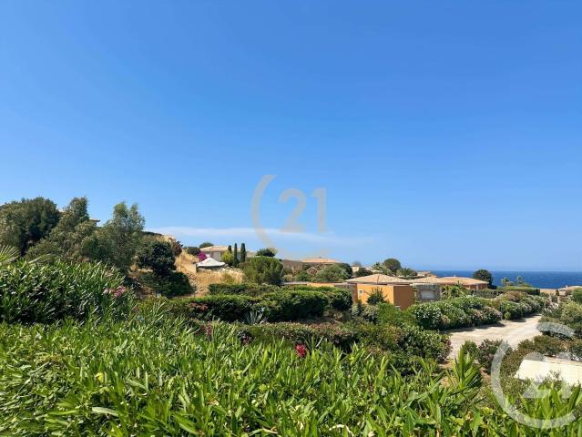Vente appartement 3 pièces Lumio 20