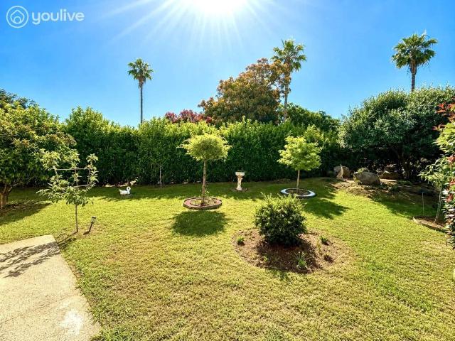 Vente appartement 3 pièces Santa Lucia di Moriani 20