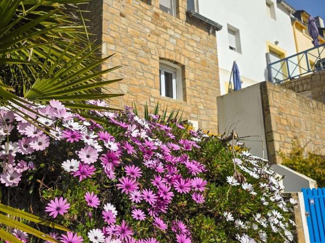 Vente appartement 3 pièces Sauzon 56