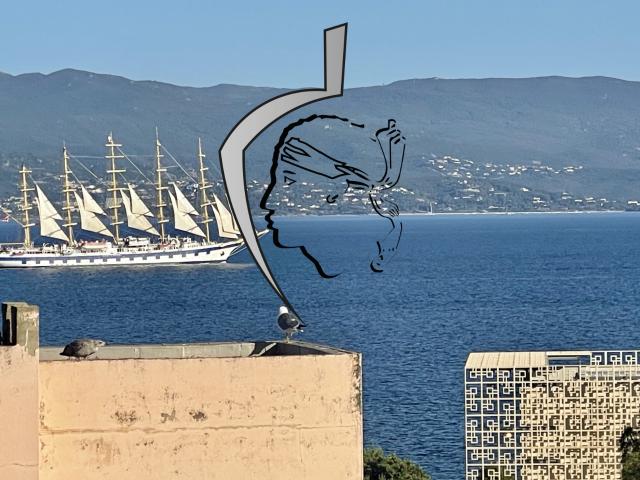 Vente appartement F3/4: Quartier triangle d'or d' Ajaccio