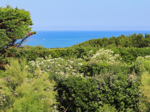 VENTE APT BIDART 76m2 TERRASSE PARKING CAVE EXCLU