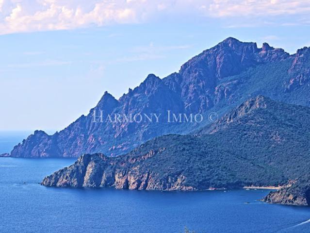 Vente Autre 50000 m2 Calvi