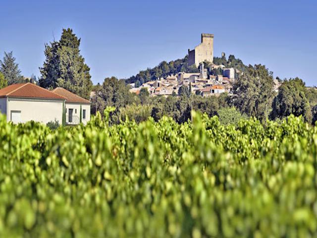Vente Autre 676 m2 Châteauneuf du Pape