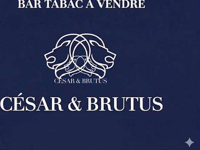 Vente Autre 85 m2 Roanne
