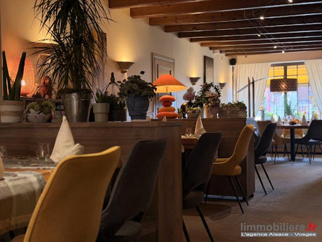 Vente Autre 900 m2 Saint die des vosges