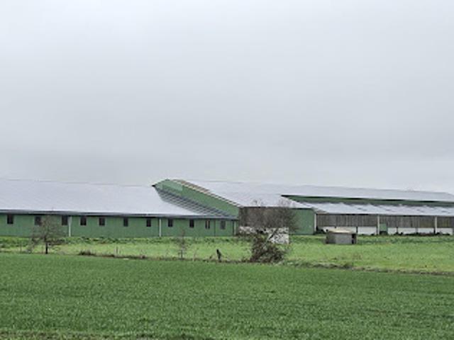 Vente Fond de commerce 0 pièces 4500 m2 Beaufou