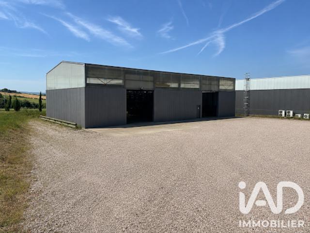 Vente Fond de commerce 0 pièces 450 m2 Gaillac