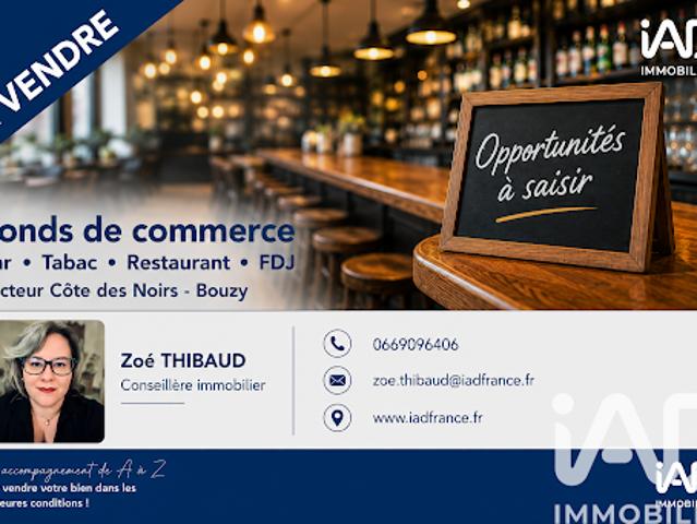 Vente Autre 0 pièces 183 m2 Bouzy