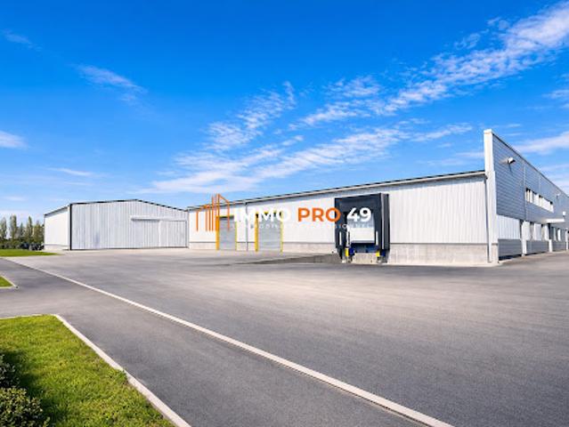 Vente Autre 0 pièces 2400 m2 Cholet