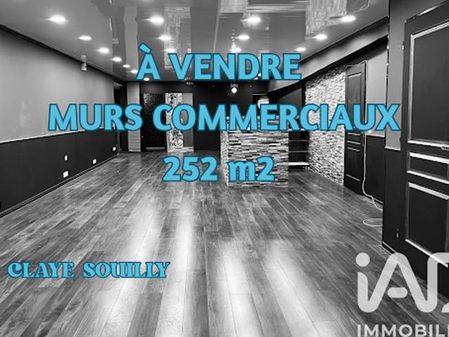 Vente Autre 0 pièces 252 m2 Claye Souilly