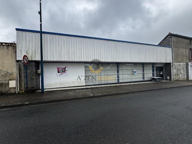 Vente Autre 0 pièces 300 m2 La Châtaigneraie