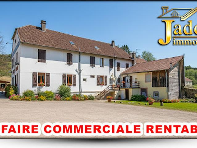 Vente Autre 1003 m2 Plainfaing