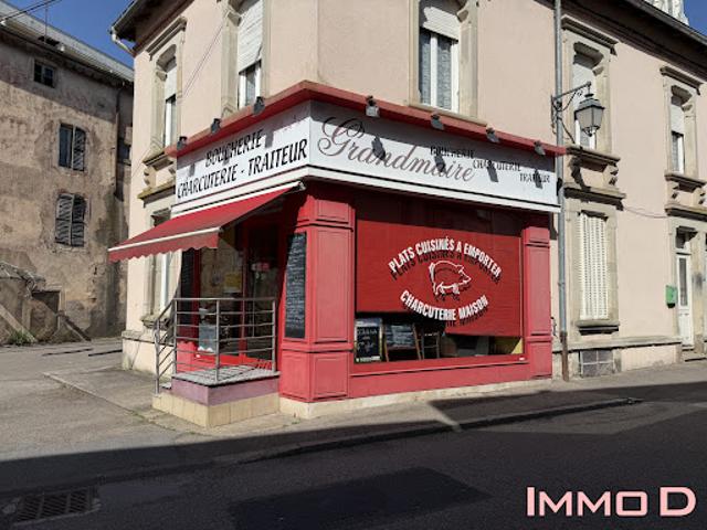 Vente Autre 115 m2 La Vôge les Bains