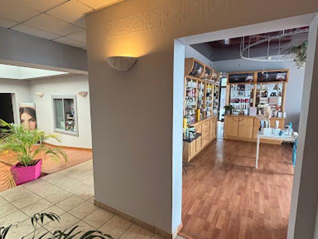 Vente Fond de commerce 11 pièces 271 m2 Les Herbiers