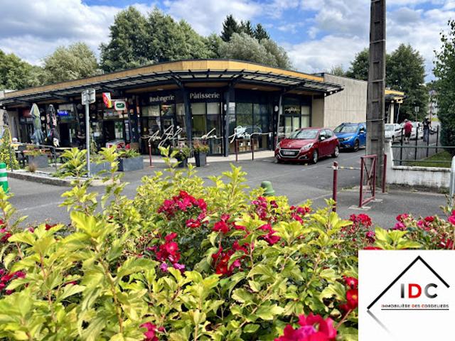 Vente Autre 180 m2 Sarrebourg