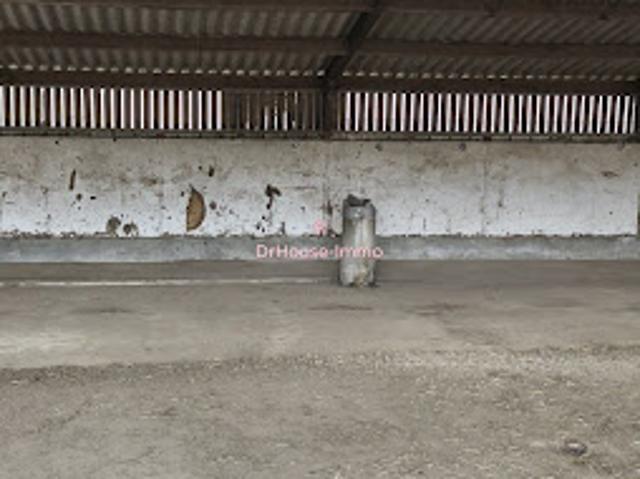 Vente Autre 1 pièce 46 m2 Champien