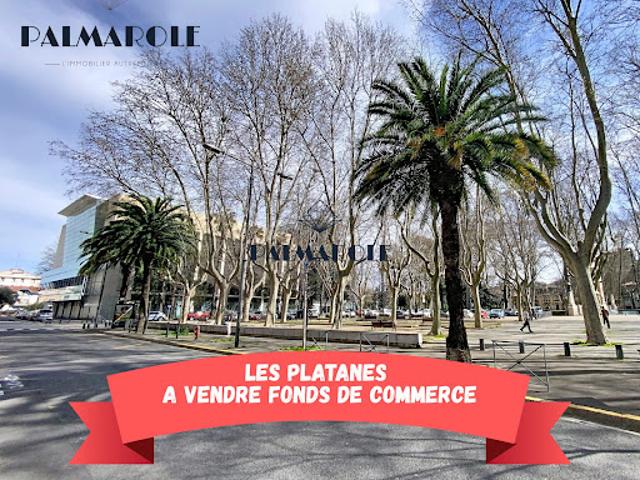 Vente Autre 225 m2 Perpignan