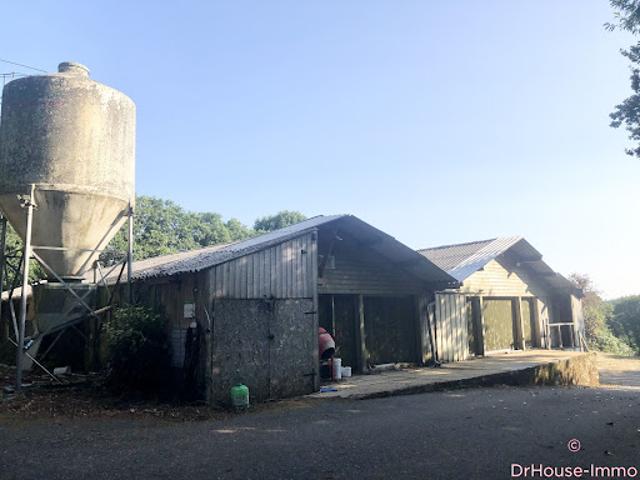 Vente Autre 2 pièces 400 m2 Berrien