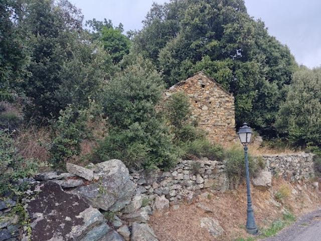 Vente Autre 2 pièces 59 m2 Murato