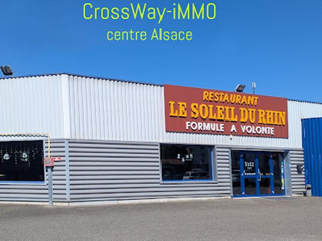 Vente Autre 2 pièces 790 m2 Volgelsheim