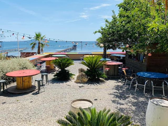 Vente Autre 2 pièces 328 m2 Meze