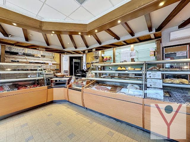 Vente Autre 300 m2 Villars les Dombes