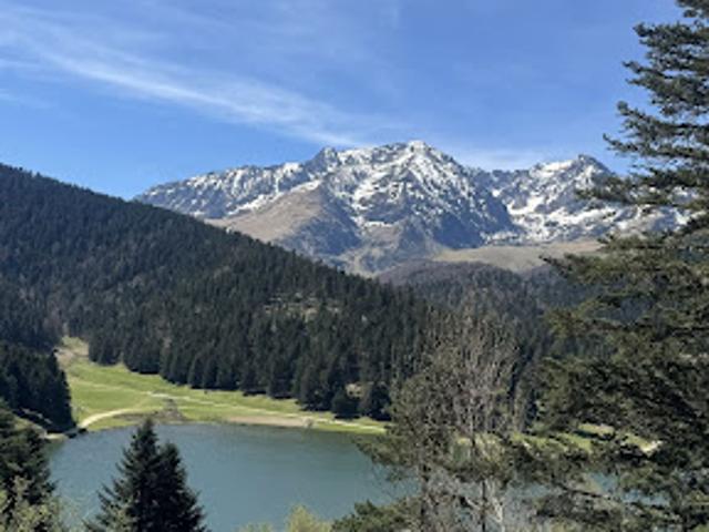 Vente Autre 3 pièces 43 m2 Campan