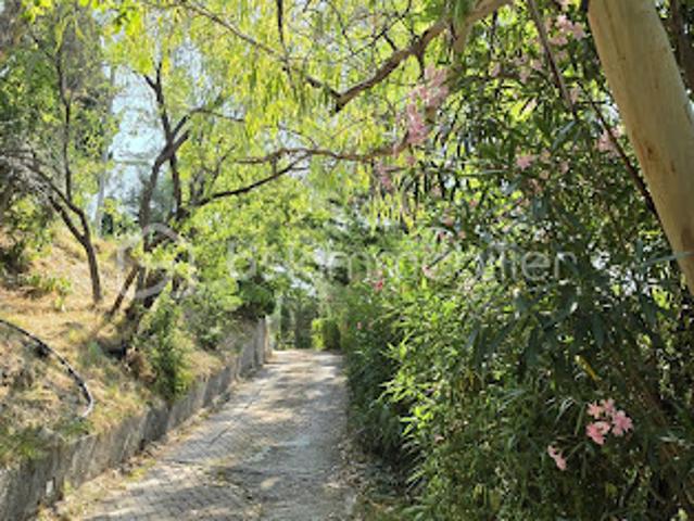 Vente Bastide 5 pièces 223 m2 Cantaron
