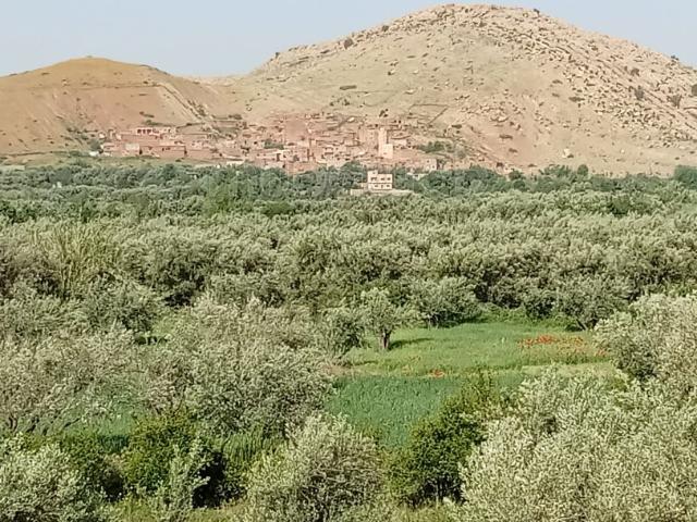 Vente Belle villa de 700 m2