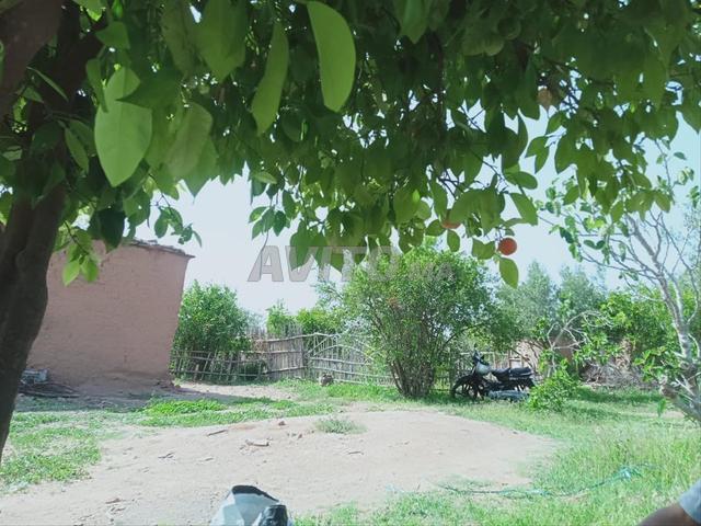 Vente belle ferme avec petite villa