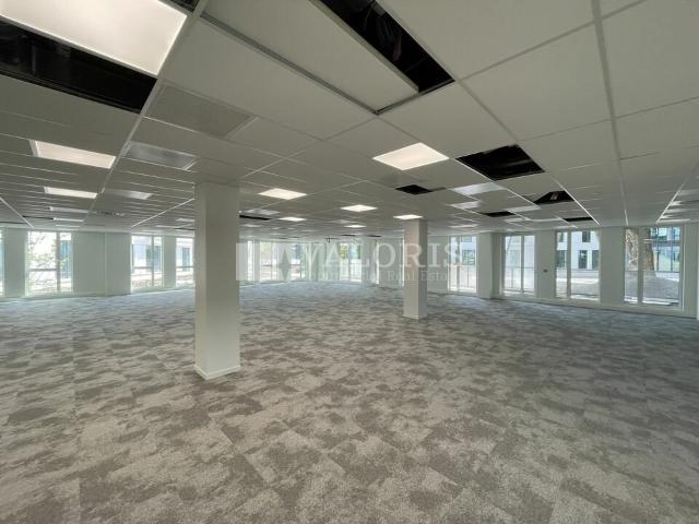 Vente bureaux neufs Limonest Zone TECHLID, proche autoroute et transports