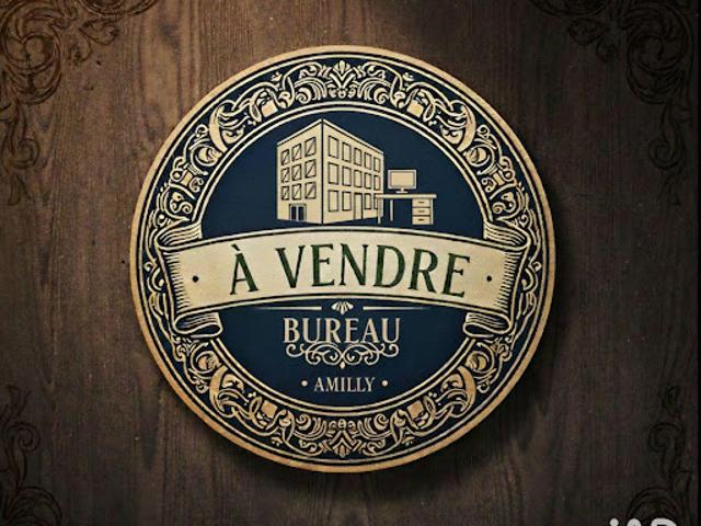 Vente Bureaux 0 pièces 250 m2 Amilly