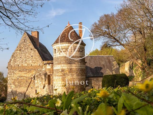 Vente Château 14 pièces 400 m2 Bonneveau