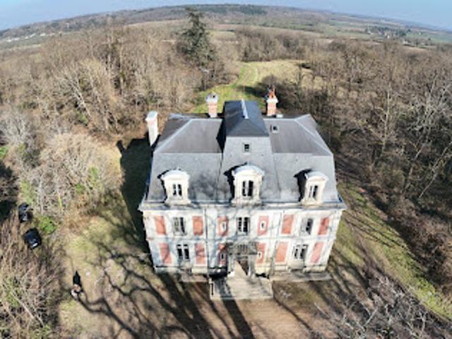 Vente Château 14 pièces 442.08 m2 Chédigny
