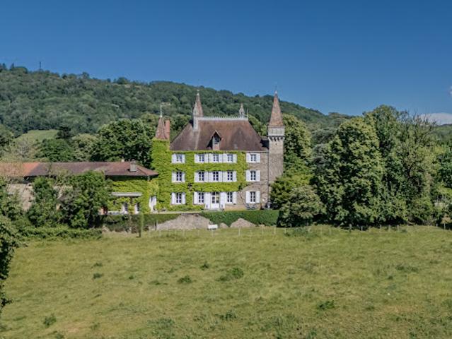 Vente Château 14 pièces 543 m2 Coligny
